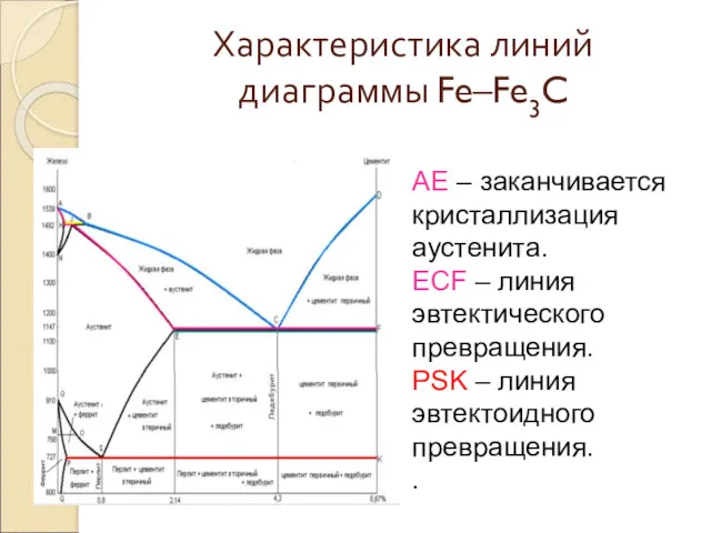 Характеристика линий диаграммы Fe–Fe3C AE – заканчивается кристаллизация аустенита. ECF – линия эвтектического