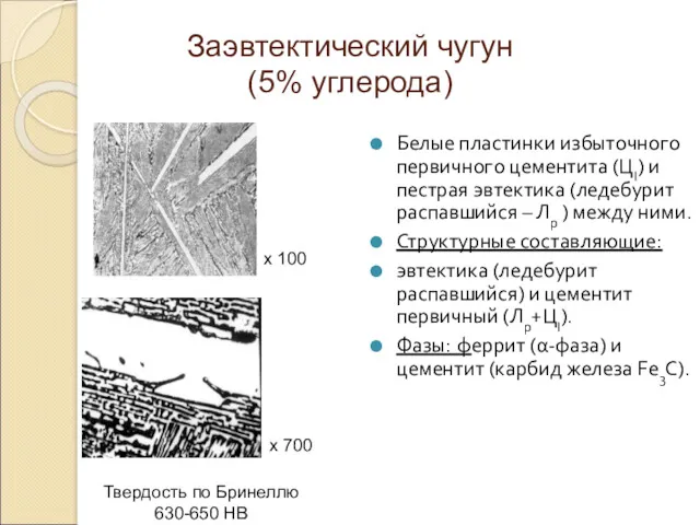 Заэвтектический чугун (5% углерода) Белые пластинки избыточного первичного цементита (ЦI) и пестрая эвтектика