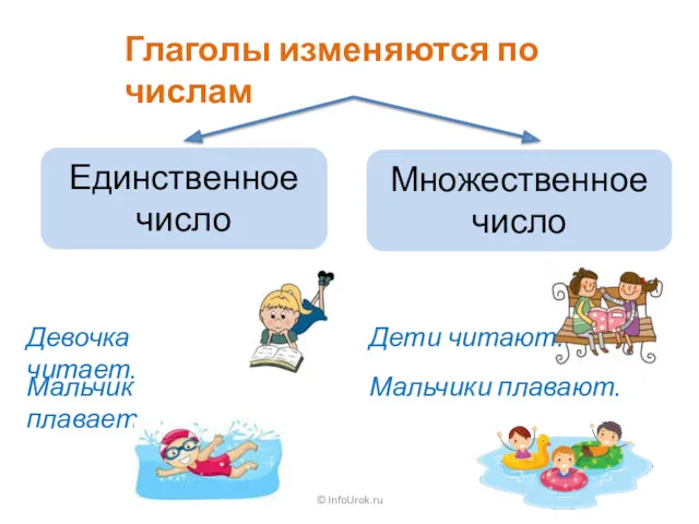 © InfoUrok.ru Единственное число Множественное число Девочка читает. Дети читают. Мальчик плавает. Мальчики