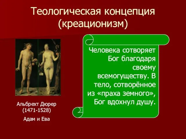 Теологическая концепция (креационизм) Альбрехт Дюрер (1471-1528) Адам и Ева Человека сотворяет Бог благодаря