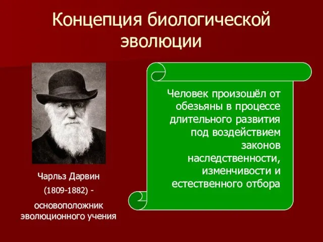 Концепция биологической эволюции Чарльз Дарвин (1809-1882) - основоположник эволюционного учения Человек произошёл от