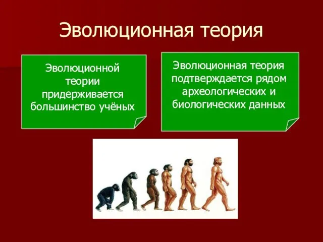 Эволюционная теория Эволюционной теории придерживается большинство учёных Эволюционная теория подтверждается рядом археологических и биологических данных