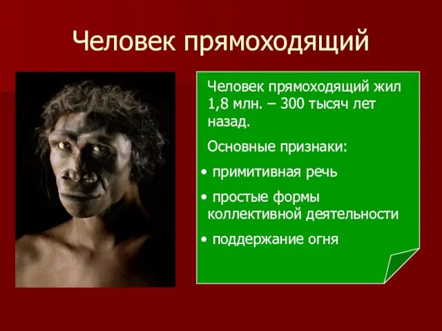Человек прямоходящий Человек прямоходящий жил 1,8 млн. – 300 тысяч лет назад. Основные