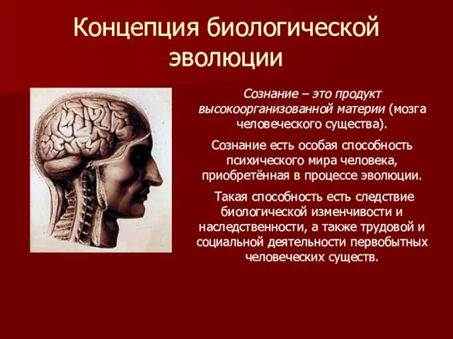 Концепция биологической эволюции Сознание – это продукт высокоорганизованной материи (мозга человеческого существа). Сознание