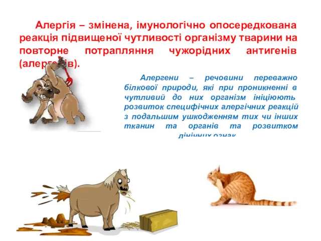 Алергія – змінена, імунологічно опосередкована реакція підвищеної чутливості організму тварини