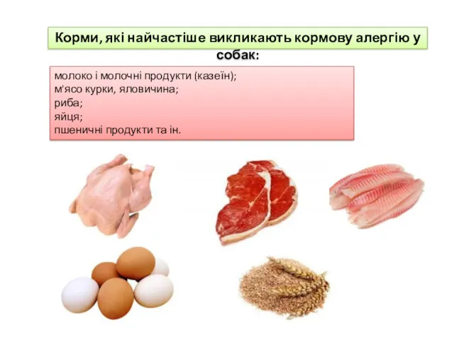 молоко і молочні продукти (казеїн); м'ясо курки, яловичина; риба; яйця;