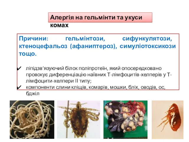 Алергія на гельмінти та укуси комах Причини: гельмінтози, сифункулятози, ктеноцефальоз