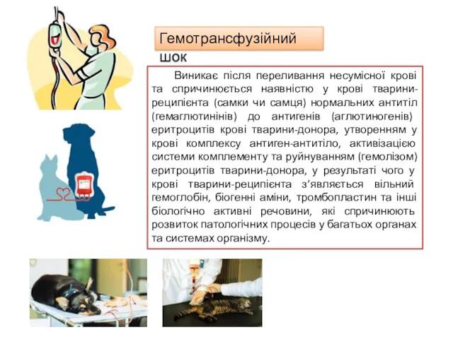 Гемотрансфузійний шок Виникає після переливання несумісної крові та спричинюється наявністю