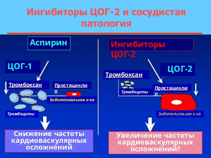 Ингибиторы ЦОГ-2 и сосудистая патология Аспирин Ингибиторы ЦОГ-2 ЦОГ-1 ЦОГ-2