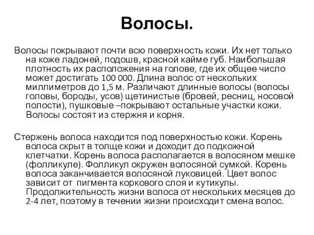 Волосы. Волосы покрывают почти всю поверхность кожи. Их нет только