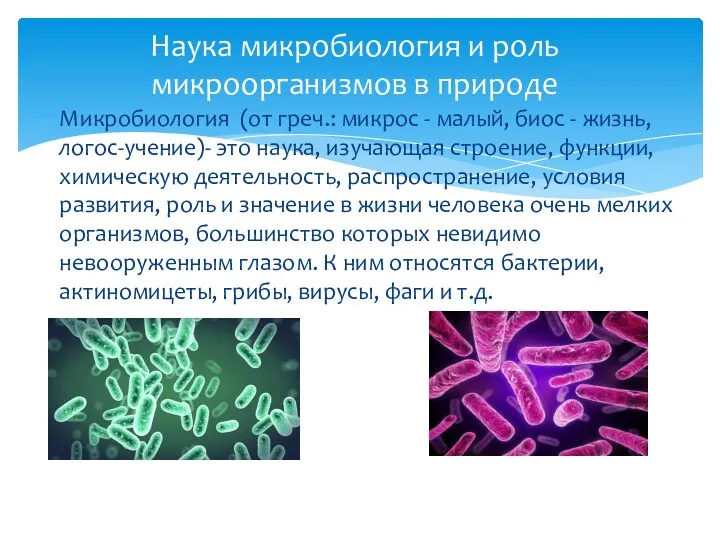 Наука микробиология и роль микроорганизмов в природе Микробиология (от греч.: