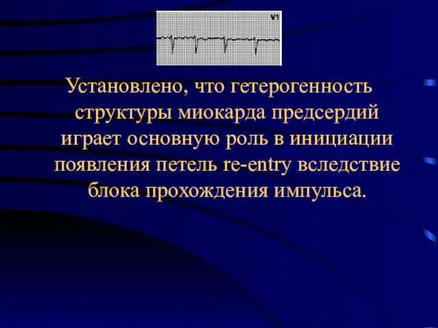 Установлено, что гетерогенность структуры миокарда предсердий играет основную роль в