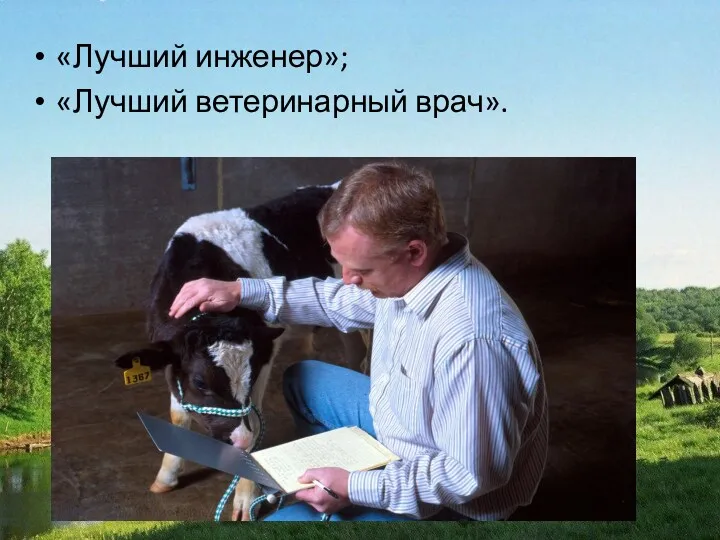 «Лучший инженер»; «Лучший ветеринарный врач».