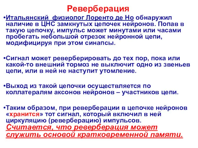 Реверберация Итальянский физиолог Лоренто де Но обнаружил наличие в ЦНС