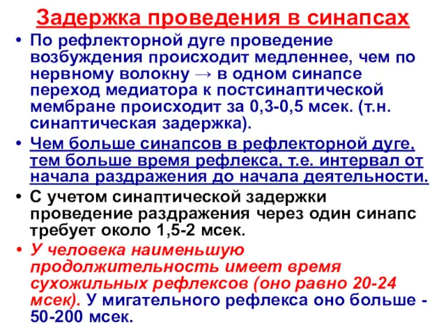 Задержка проведения в синапсах По рефлекторной дуге проведение возбуждения происходит