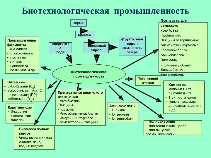 Биотехнологическая промышленность Биомасса живых клеток - биокатализ в химии -