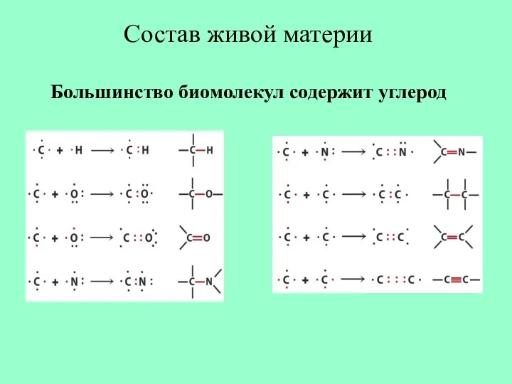 Состав живой материи Большинство биомолекул содержит углерод