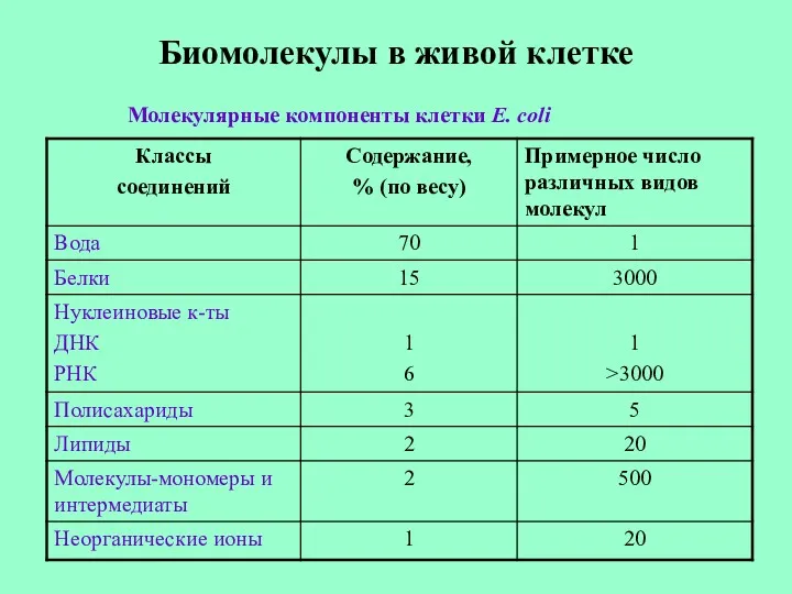 Биомолекулы в живой клетке Молекулярные компоненты клетки E. coli