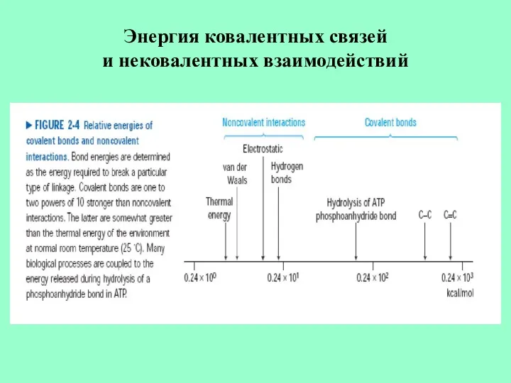 Энергия ковалентных связей и нековалентных взаимодействий