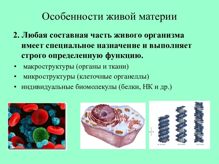 Особенности живой материи 2. Любая составная часть живого организма имеет