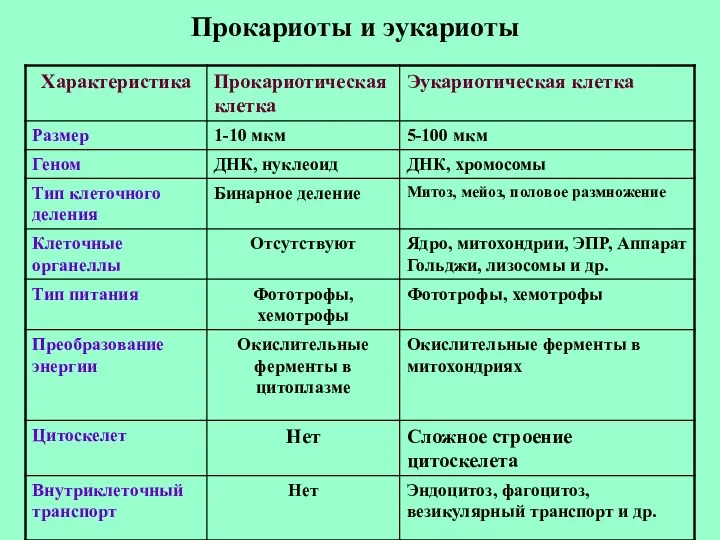 Прокариоты и эукариоты