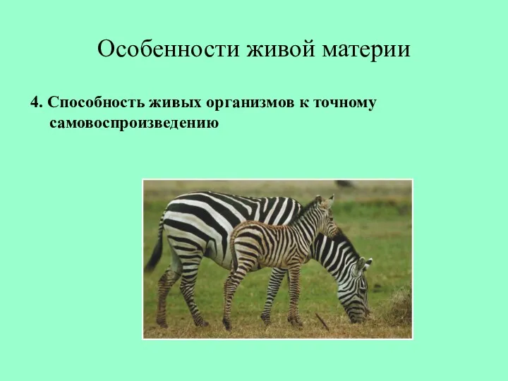 Особенности живой материи 4. Способность живых организмов к точному самовоспроизведению