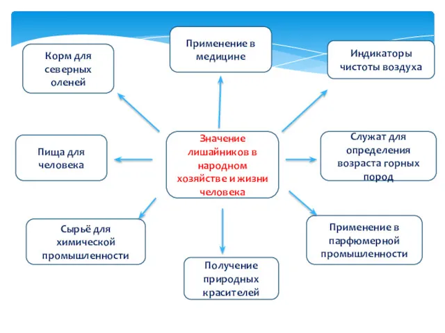 Значение лишайников в народном хозяйстве и жизни человека Служат для