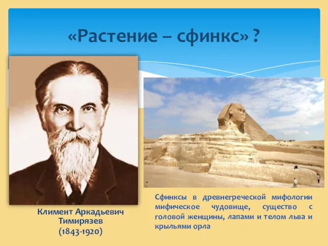 Климент Аркадьевич Тимирязев (1843-1920) «Растение – сфинкс» ? Сфинксы в