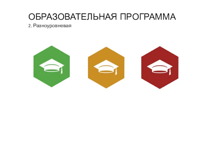 ОБРАЗОВАТЕЛЬНАЯ ПРОГРАММА 2. Разноуровневая