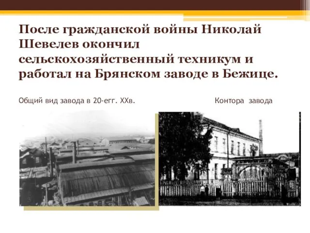 После гражданской войны Николай Шевелев окончил сельскохозяйственный техникум и работал