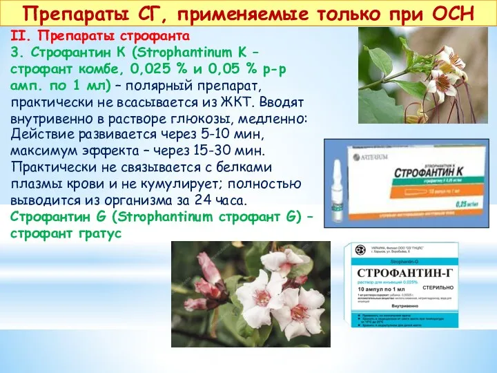 Препараты СГ, применяемые только при ОСН II. Препараты строфанта 3. Строфантин К (Strophantinum