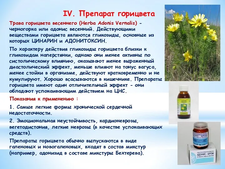 IV. Препарат горицвета Трава горицвета весеннего (Herba Adonis Vernalis) - черногорка или адонис