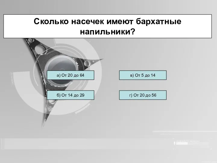 Сколько насечек имеют бархатные напильники? а) От 20 до 64