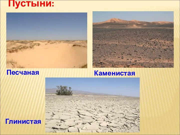 Пустыни: Каменистая Песчаная Глинистая
