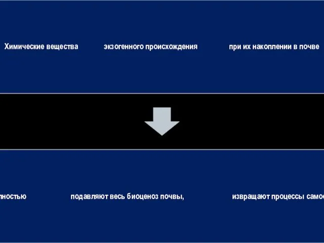 Химические вещества экзогенного происхождения при их накоплении в почве Почти