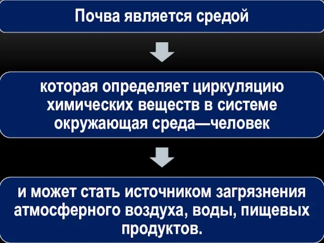 Почва является средой которая определяет циркуляцию химических веществ в системе