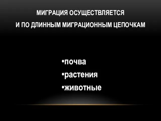 МИГРАЦИЯ ОСУЩЕСТВЛЯЕТСЯ И ПО ДЛИННЫМ МИГРАЦИОННЫМ ЦЕПОЧКАМ почва растения животные