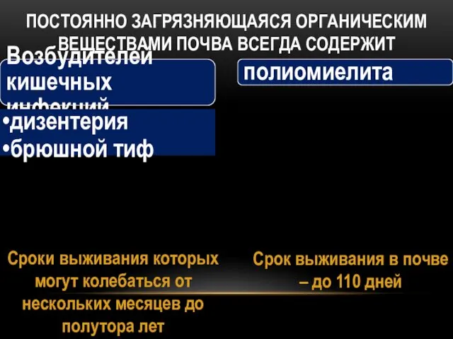 полиомиелита Возбудителей кишечных инфекций дизентерия брюшной тиф ПОСТОЯННО ЗАГРЯЗНЯЮЩАЯСЯ ОРГАНИЧЕСКИМ