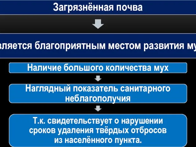 Загрязнённая почва Является благоприятным местом развития мух. Наличие большого количества