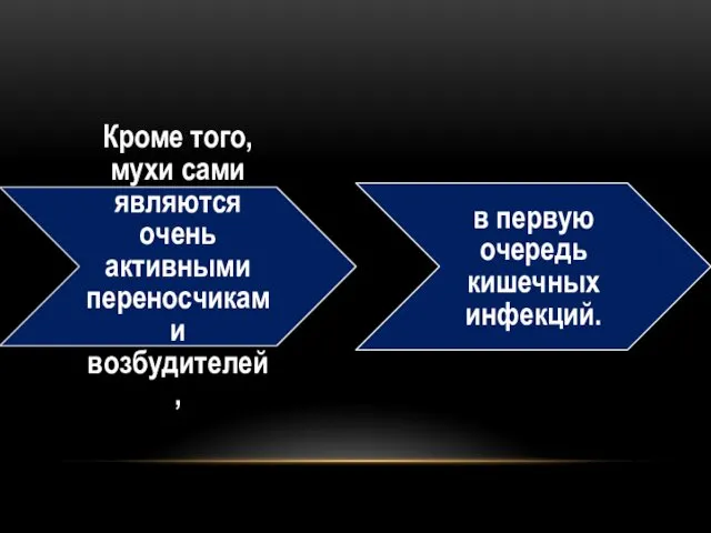 Кроме того, мухи сами являются очень активными переносчиками возбудителей, в первую очередь кишечных инфекций.