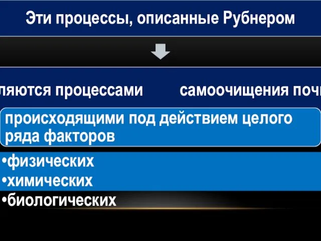 Эти процессы, описанные Рубнером являются процессами самоочищения почвы происходящими под