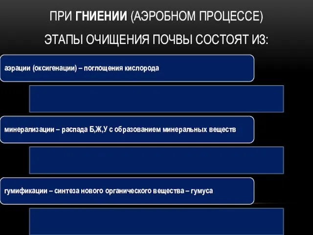 ПРИ ГНИЕНИИ (АЭРОБНОМ ПРОЦЕССЕ) ЭТАПЫ ОЧИЩЕНИЯ ПОЧВЫ СОСТОЯТ ИЗ: аэрации