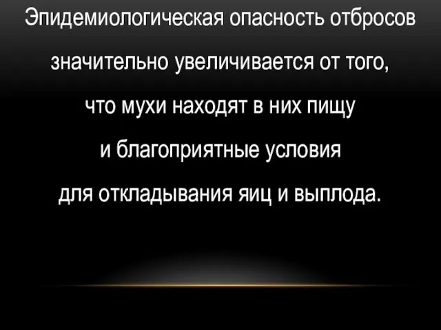 Эпидемиологическая опасность отбросов значительно увеличивается от того, что мухи находят