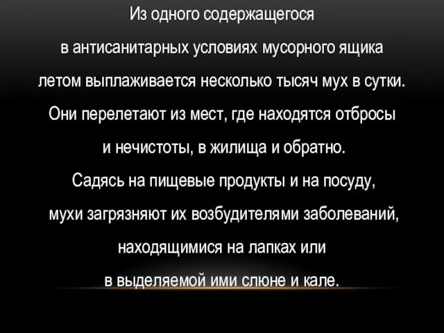 Из одного содержащегося в антисанитарных условиях мусорного ящика летом выплаживается