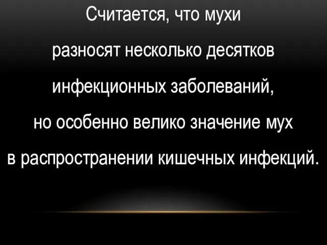 Считается, что мухи разносят несколько десятков инфекционных заболеваний, но особенно