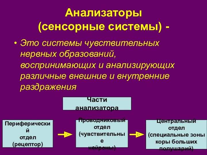 Анализаторы (сенсорные системы) - Это системы чувствительных нервных образований, воспринимающих