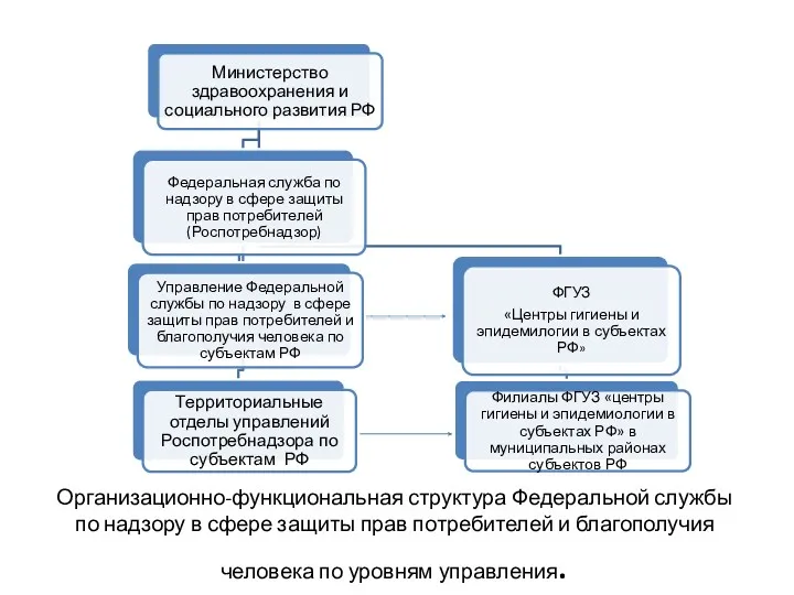 Организационно-функциональная структура Федеральной службы по надзору в сфере защиты прав потребителей и благополучия