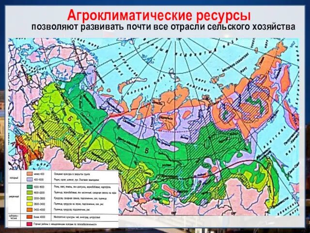 Агроклиматические ресурсы позволяют развивать почти все отрасли сельского хозяйства