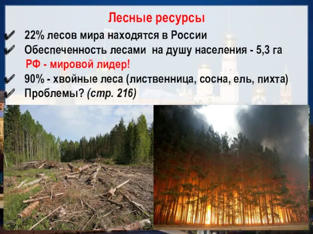 Лесные ресурсы 22% лесов мира находятся в России Обеспеченность лесами