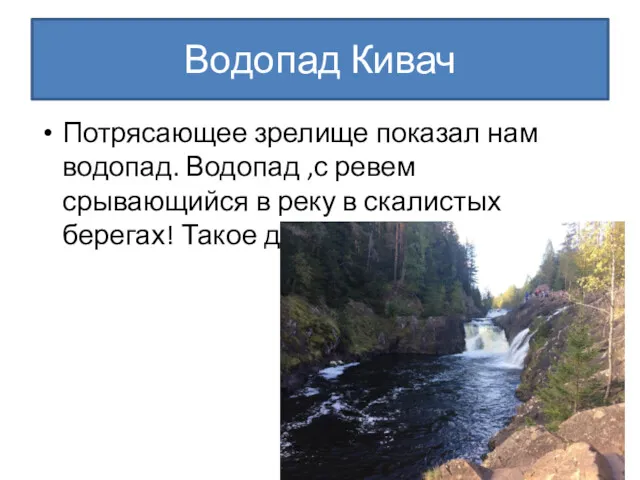 Водопад Кивач Потрясающее зрелище показал нам водопад. Водопад ,с ревем